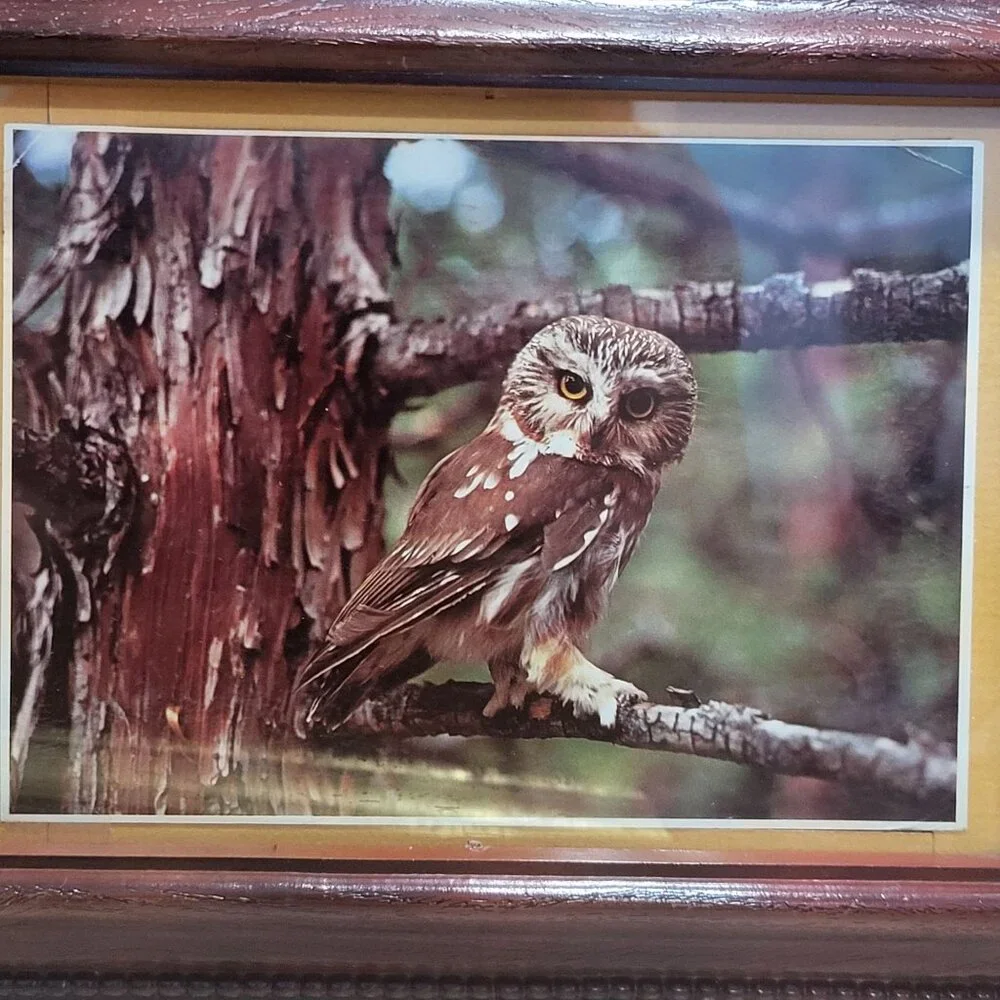 N/A vintage framed